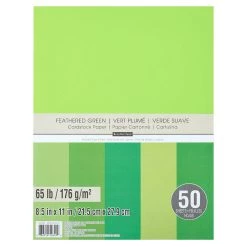 Top 10 ⌛ Feathered Greens 8.5" x 11" Cardstock Paper by Recollections®, 50 Sheets 👏