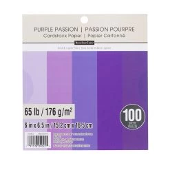 New 😉 Purple Passion 6" x 6.5" Cardstock Paper by Recollections™, 100 Sheets ✔️
