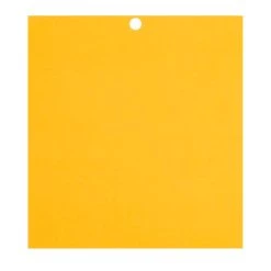 Flash Sale โจ 12 Packs: 100 ct. (1,200 total) Citrus 6" x 6.5" Cardstock Paper by Recollections™ ๐งจ 14 Flash Sale โจ 12 Packs: 100 ct. (1,200 total) Citrus 6" x 6.5" Cardstock Paper by Recollections™ ๐งจ -Michaels Stores 10615825 6 1