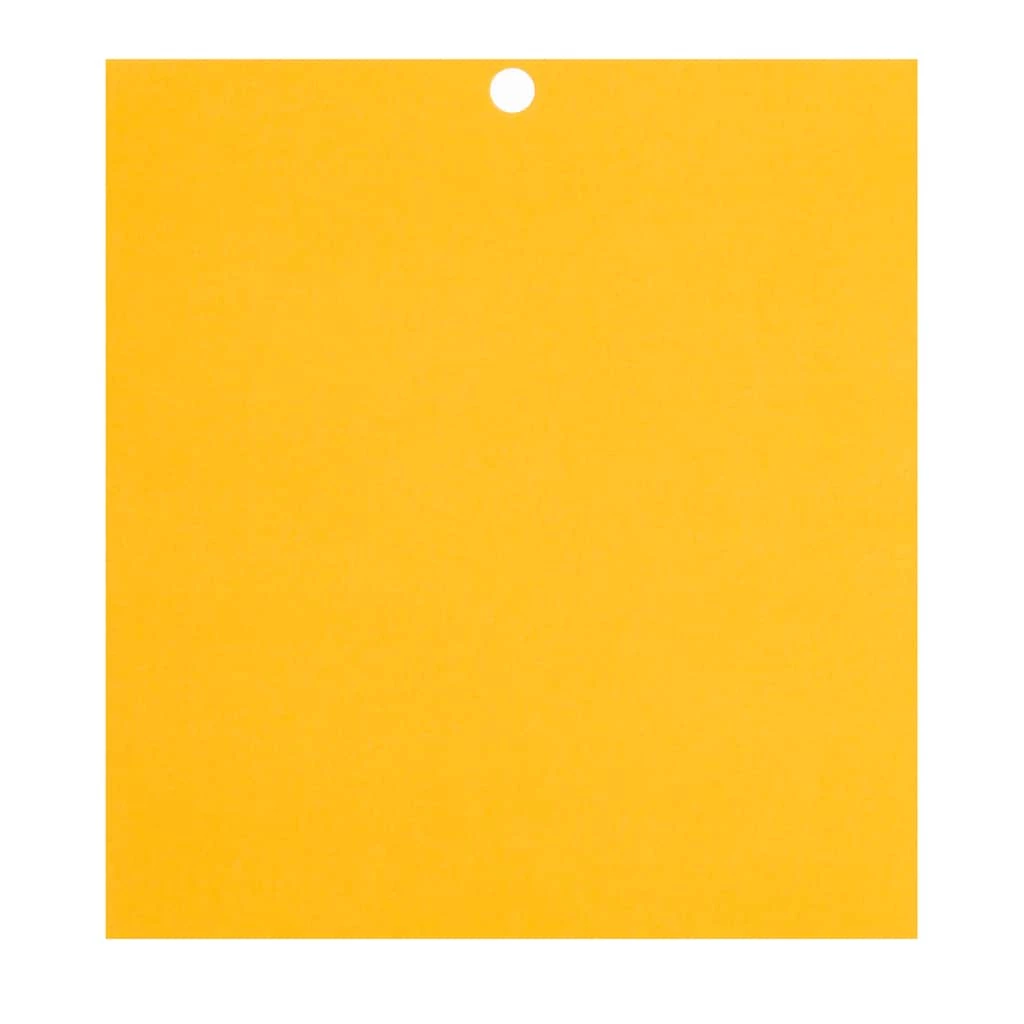 Flash Sale โจ 12 Packs: 100 ct. (1,200 total) Citrus 6" x 6.5" Cardstock Paper by Recollections™ ๐งจ 7 Flash Sale โจ 12 Packs: 100 ct. (1,200 total) Citrus 6" x 6.5" Cardstock Paper by Recollections™ ๐งจ - Image 7