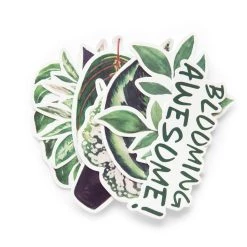 Wholesale ๐คฉ Green Plants Die Cut Stickers by Recollections™ โ๏ธ 5 Wholesale ๐คฉ Green Plants Die Cut Stickers by Recollections™ โ๏ธ -Michaels Stores 10664765 3