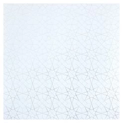 Best reviews of ⭐ Silver Geometric Cardstock Paper by Recollections™, 12" x 12" 🌟