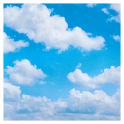 Best Pirce 👏 Cloudy Sky Cardstock by Recollections™, 12" x 12" 👍