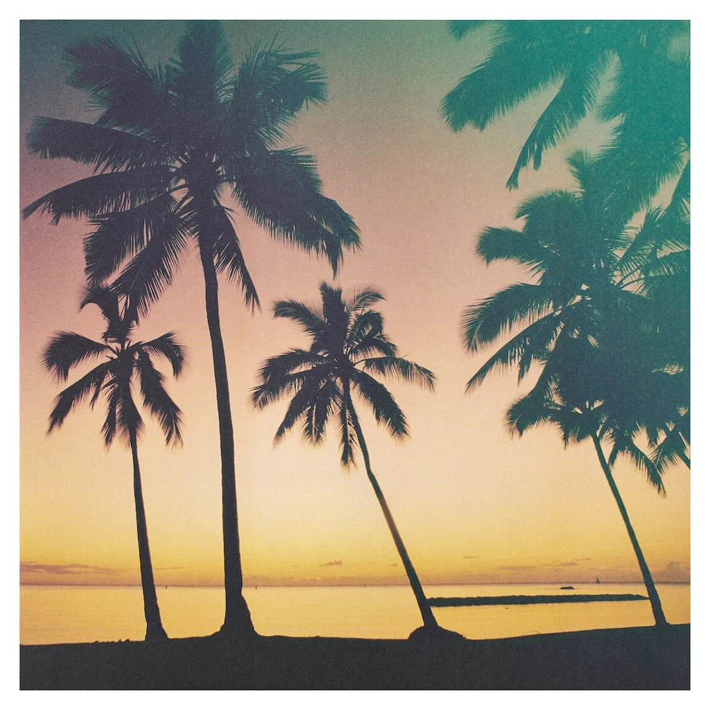 Budget 💯 Tropical Trees Cardstock Paper by Recollections™, 12" x 12" 👏 1 Budget 💯 Tropical Trees Cardstock Paper by Recollections™, 12" x 12" 👏